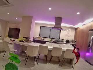 voyeurcam-casa-salsa-fishtank
