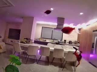 voyeurcam-casa-salsa-fishtank