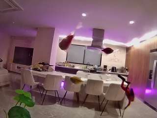 voyeurcam-casa-salsa-fishtank Live Webcam on CamSoda