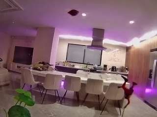 voyeurcam-casa-salsa-fishtank