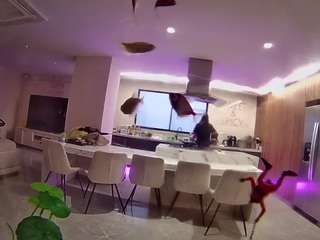 voyeurcam-casa-salsa-fishtank