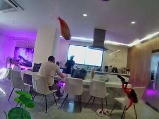 voyeurcam-casa-salsa-fishtank