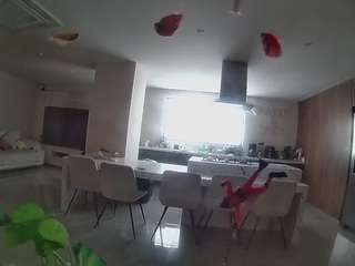 voyeurcam-casa-salsa-fishtank