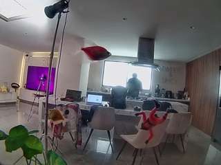 voyeurcam-casa-salsa-fishtank