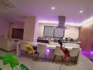 voyeurcam-casa-salsa-fishtank