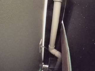 voyeurcam-casa-salsa-fishtank