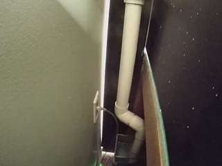 voyeurcam-casa-salsa-fishtank