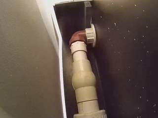 voyeurcam casa salsa fishtank