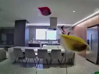voyeurcam casa salsa fishtank's Live Sex Cam Show