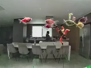 voyeurcam casa salsa fishtank's Live Sex Cam Show