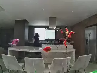 voyeurcam casa salsa fishtank's Live Sex Cam Show