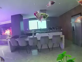 voyeurcam casa salsa fishtank's Live Sex Cam Show