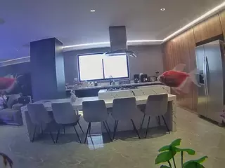 voyeurcam casa salsa fishtank's Live Sex Cam Show