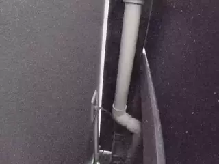 voyeurcam casa salsa fishtank