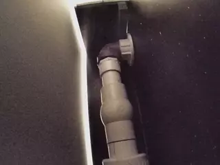 voyeurcam casa salsa fishtank