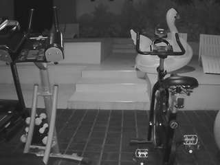 voyeurcam-casa-salsa-gym-bike Adult Video Cam Chat camsoda