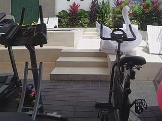 Adult Cam Chat Online camsoda voyeurcam-casa-salsa-gym-bike