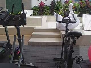 Adult Chat App camsoda voyeurcam-casa-salsa-gym-bike