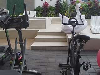 voyeurcam-casa-salsa-gym-bike camsoda Best Private Chat Rooms 