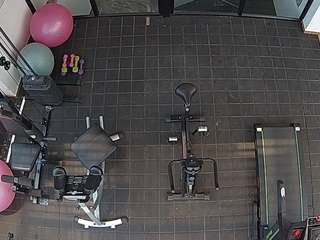 voyeurcam-casa-salsa-gym Adult Cam Website camsoda