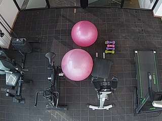 voyeurcam-casa-salsa-gym webcam