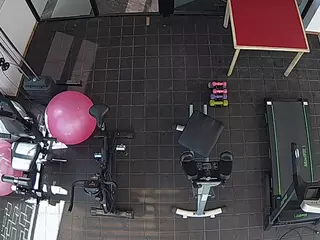 voyeurcam-casa-salsa-gym's Live Sex Cam Show