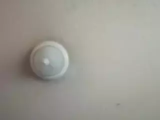 Cadillac's Live Sex Cam Show