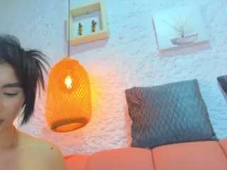 emiilys webcam