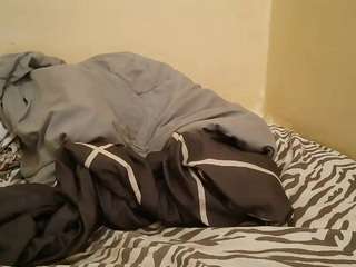 hazzle-dazzle webcam