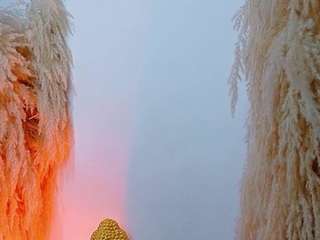 Live webcam model juliethdavis on Soda Cams