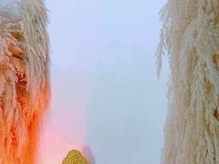 Live webcam model juliethdavis on Soda Cams