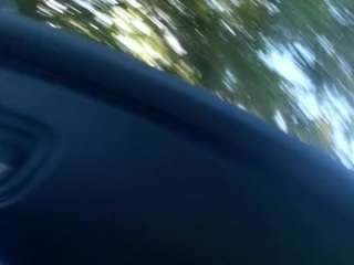 bballsg29