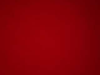 yellowtail80