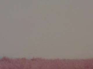 mayaster webcam