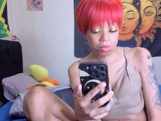 Tokyodagoddess's cam show statistics and live stream