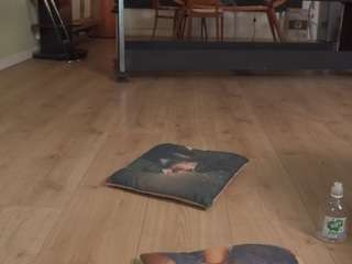 beatrizdoll Sex Cam Show