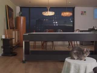 beatrizdoll's live room