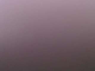 theofficialsophiasanchez