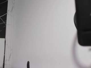 abbyhilton1