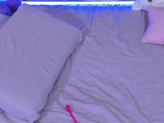 yorogumo webcam
