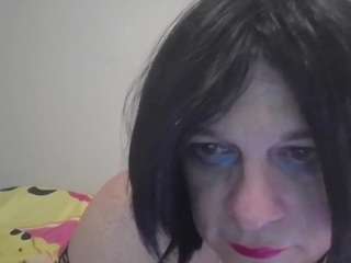 traphseslutbunny webcam