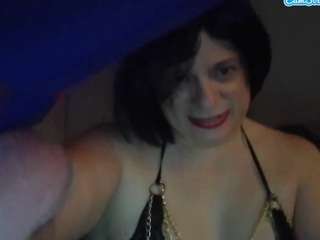 traphseslutbunny webcam