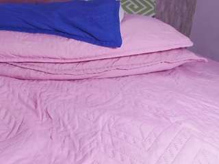  live cam