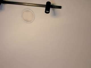 antonella-rouse webcam model
