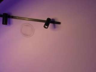 antonella-rouse live cam profile