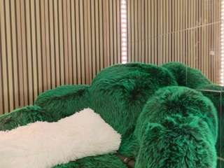 celiachan3l Sex Cam Show