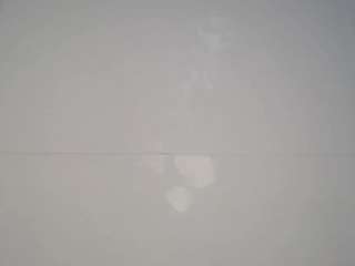 genesismoretz webcam