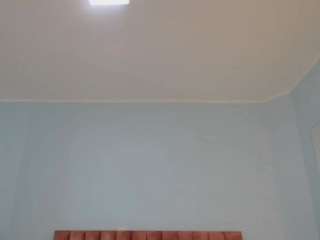 nanalevy