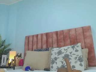 nanalevy