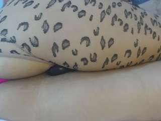 nanalevy